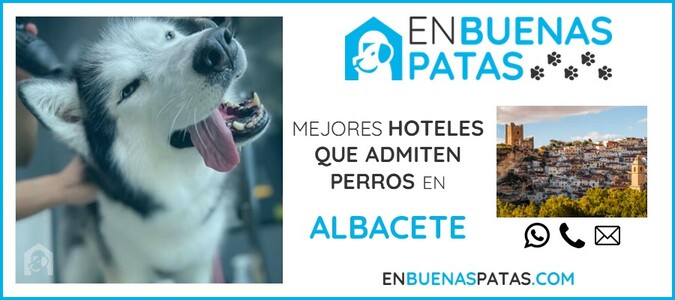 albacete-mejores-hoteles-admiten-perros-zona