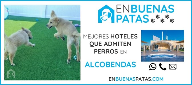 alcobendas-mejores-hoteles-admiten-perros-zona