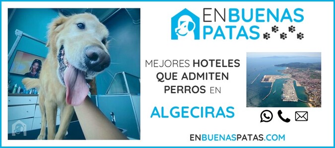 algeciras-mejores-hoteles-admiten-perros-zona