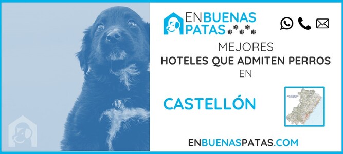 castellon-mejores-hoteles-admiten-perros