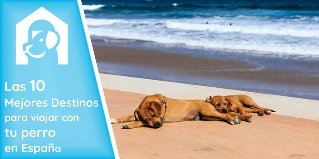 donde-viajar-con-perro-espana