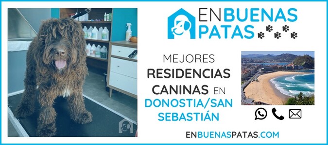 donostia-mejores-residencias-caninas-perros-zona