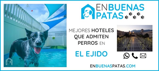 el-ejido-mejores-hoteles-admiten-perros-zona