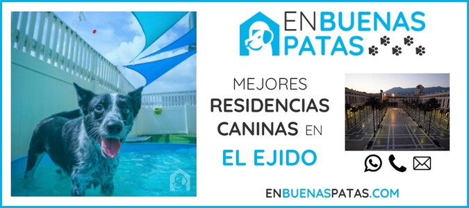 el-ejido-mejores-residencias-caninas-perros-zona