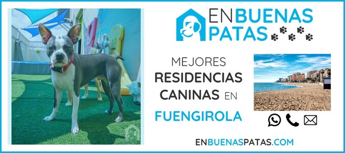 fuengirola-mejores-residencias-caninas-perros-zona