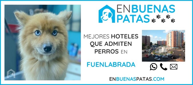 fuenlabrada-mejores-hoteles-admiten-perros-zona