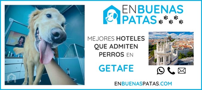 getafe-mejores-hoteles-admiten-perros-zona