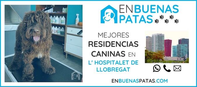 hospitalet-llobregat-mejores-residencias-caninas-perros-zona