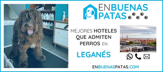 leganes-mejores-hoteles-admiten-perros-zona