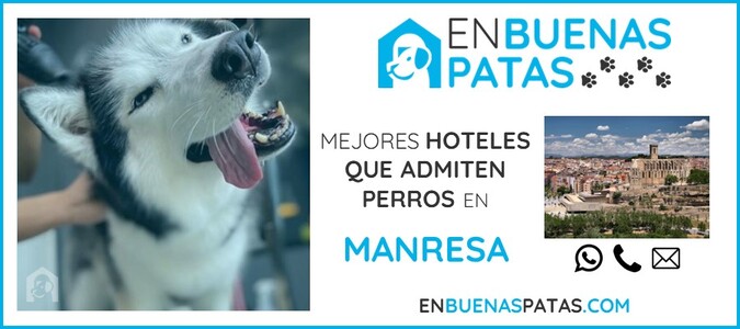 manresa-mejores-hoteles-admiten-perros-zona