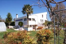 mejores-campings-casas-rurales-perros-ciudad-berricano