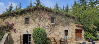 mejores-campings-casas-rurales-perros-ciudad-collsabadell