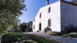 mejores-campings-casas-rurales-perros-ciudad-dosrius