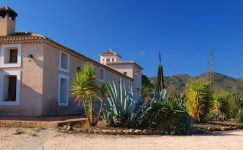 mejores-campings-casas-rurales-perros-ciudad-el-gallego