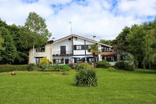 mejores-campings-casas-rurales-perros-ciudad-elosu