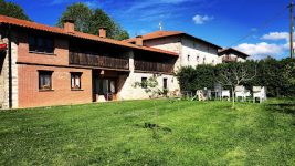 mejores-campings-casas-rurales-perros-ciudad-gujuli