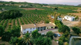 mejores-campings-casas-rurales-perros-ciudad-hellin