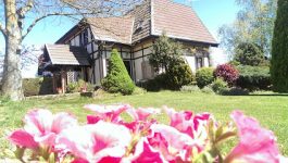 mejores-campings-casas-rurales-perros-ciudad-legutio