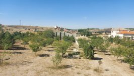 mejores-campings-casas-rurales-perros-ciudad-masegoso