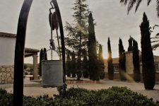 mejores-campings-casas-rurales-perros-ciudad-mora-de-santa-quiteria