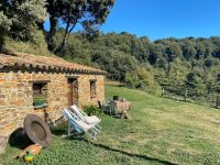 mejores-campings-casas-rurales-perros-ciudad-mosqueroles