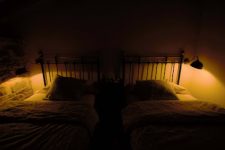mejores-campings-casas-rurales-perros-ciudad-oceca