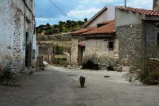 mejores-campings-casas-rurales-perros-ciudad-santa-ana