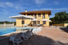 mejores-campings-casas-rurales-perros-ciudad-torrelletes