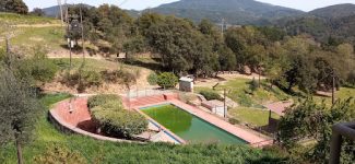 mejores-campings-casas-rurales-perros-ciudad-vallgorguina