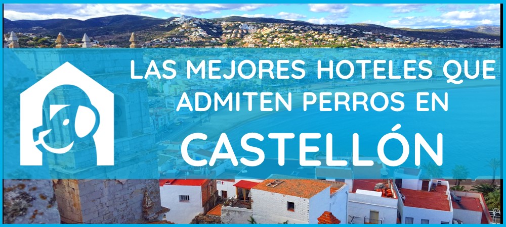 mejores-hoteles-admiten-perros-castellon