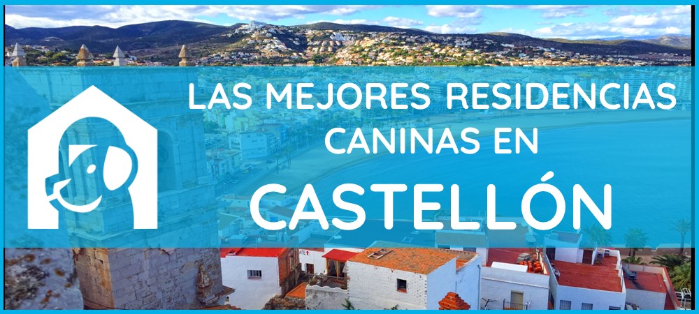 mejores-residencias-caninas-perros-castellon