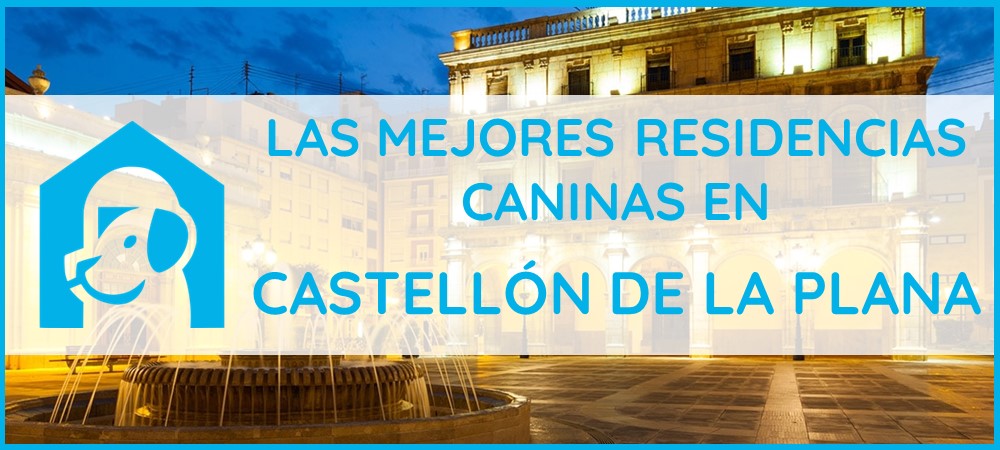 mejores-residencias-caninas-perros-castellon-de-la-plana-zona