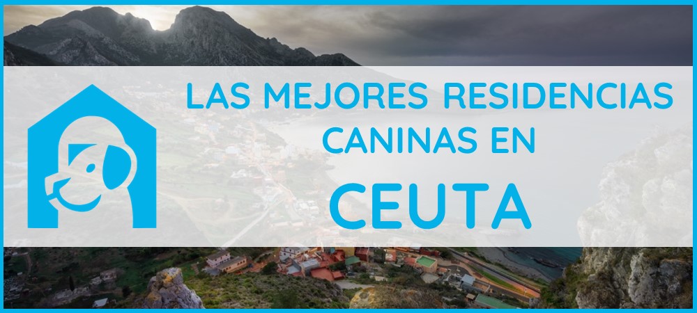 mejores-residencias-caninas-perros-ceuta-zona