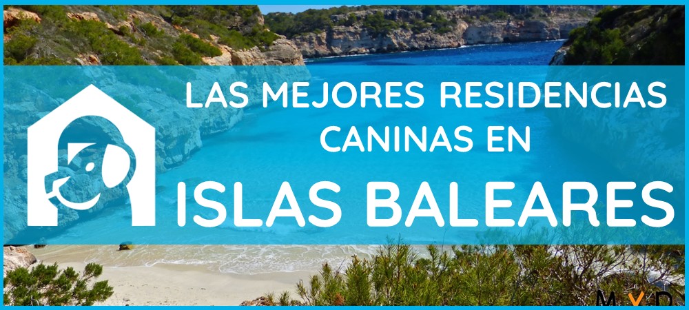 mejores-residencias-caninas-perros-islas-baleares