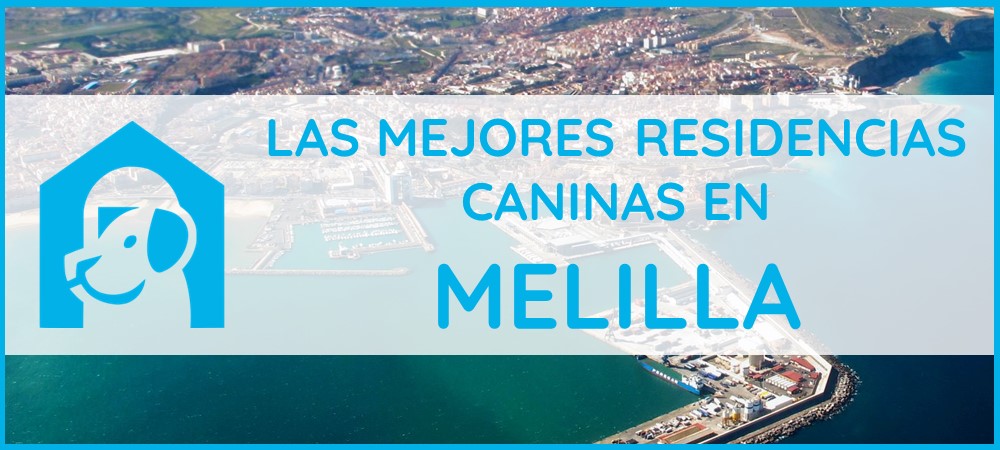 mejores-residencias-caninas-perros-melilla-zona