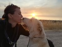 mejores-residencias-caninas-perros-zona-ciudad-abanades