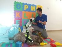 mejores-residencias-caninas-perros-zona-ciudad-adamuz