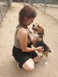 mejores-residencias-caninas-perros-zona-ciudad-alalpardo