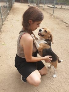 mejores-residencias-caninas-perros-zona-ciudad-alalpardo