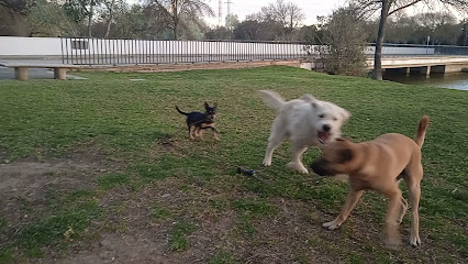 mejores-residencias-caninas-perros-zona-ciudad-alcala-de-guadaira
