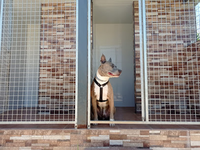 mejores-residencias-caninas-perros-zona-ciudad-alhaurin-de-la-torre