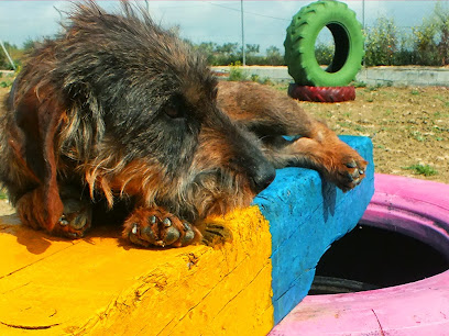 mejores-residencias-caninas-perros-zona-ciudad-alhaurin-el-grande