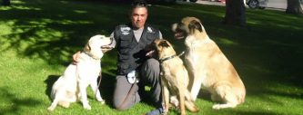 mejores-residencias-caninas-perros-zona-ciudad-arganda-del-rey