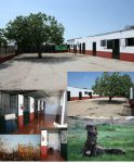 mejores-residencias-caninas-perros-zona-ciudad-badajoz