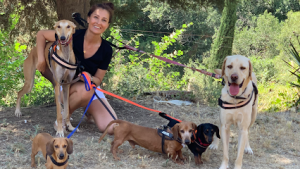 mejores-residencias-caninas-perros-zona-ciudad-barcelona