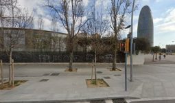 mejores-residencias-caninas-perros-zona-ciudad-barcelona