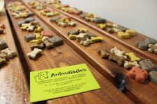 mejores-residencias-caninas-perros-zona-ciudad-barcelona