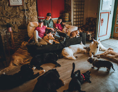 mejores-residencias-caninas-perros-zona-ciudad-barcelona