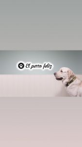 mejores-residencias-caninas-perros-zona-ciudad-begues