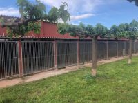 mejores-residencias-caninas-perros-zona-ciudad-cabanes